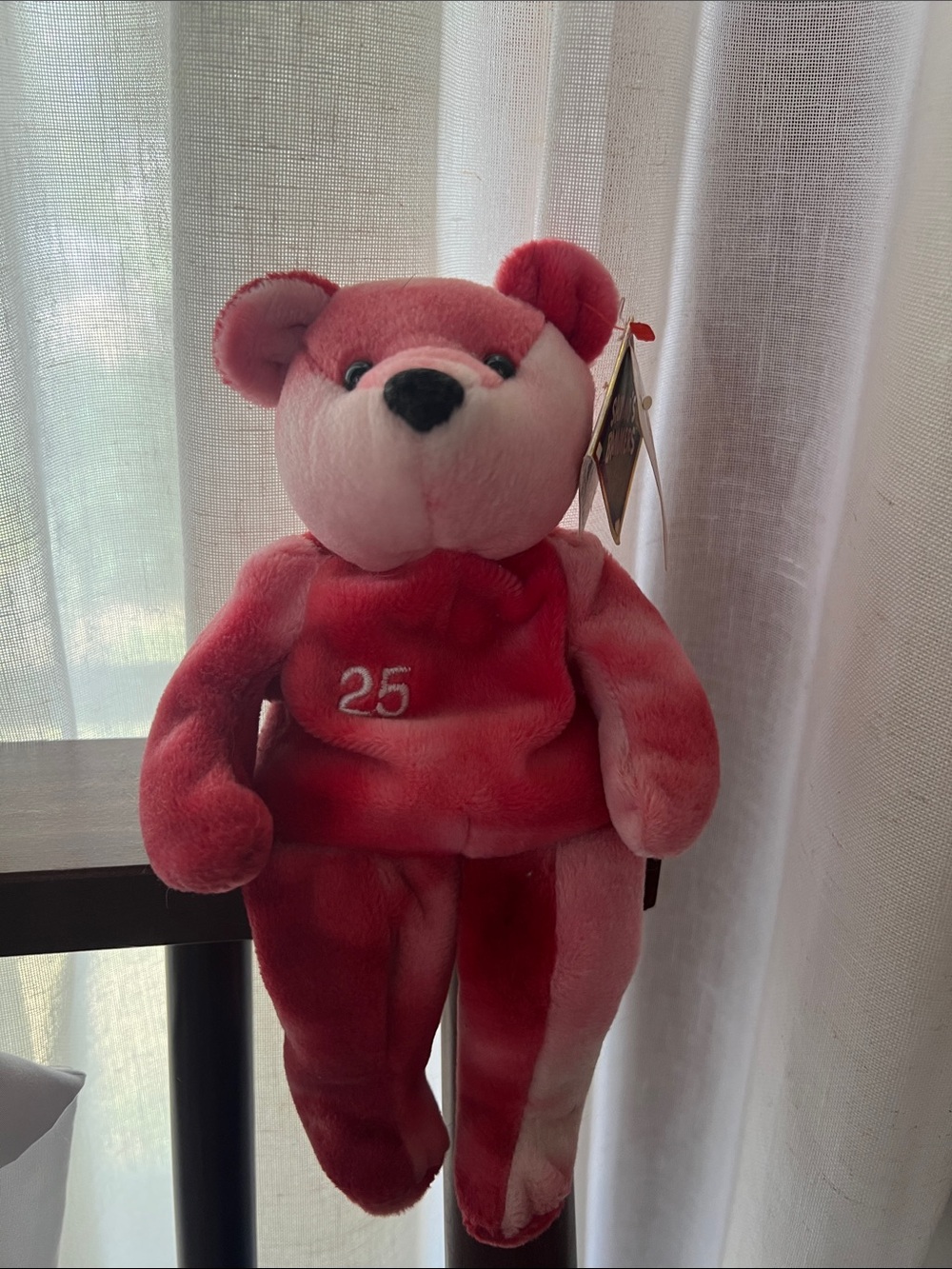 Salvino’s Bammers McGwire Opening Day Plush Bear 1999 NewsChannel 9 Syracuse NWT